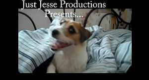 129 JESSE CHIEN UTILE